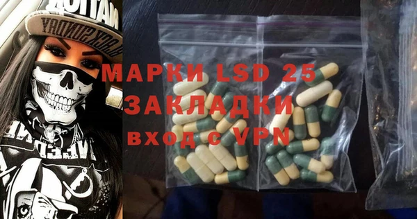 PSILOCYBIN Карталы
