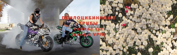 кокс Касимов